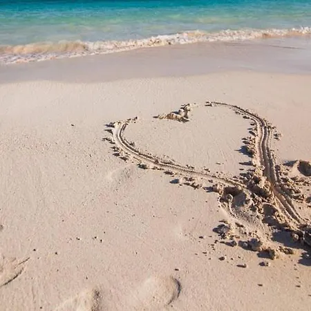 Sonia La Maddalena (Cagliari)